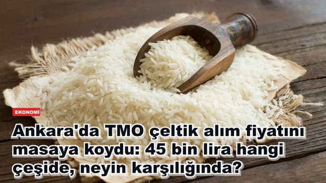 Ankara'da TMO çeltik alım fiyatını masaya koydu: 45 bin lira hangi çeşide, neyin karşılığında?