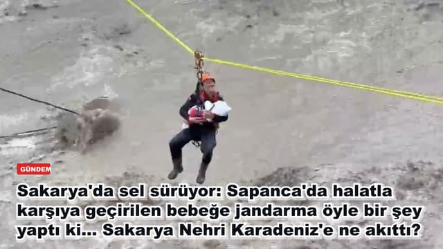 Sakarya'da sel sürüyor: Sapanca'da halatla karşıya geçirilen bebeğe jandarma öyle bir şey yaptı ki... Sakarya Nehri Karadeniz'e ne akıttı?