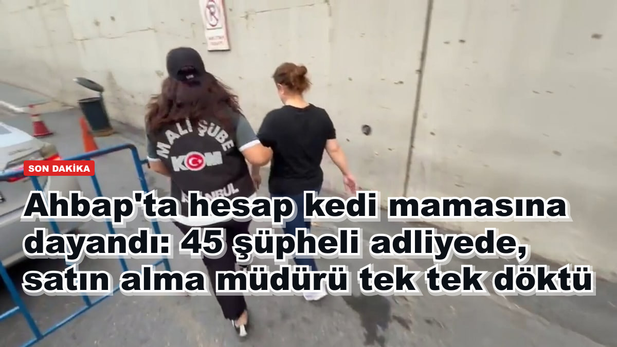 Ahbap'ta hesap kedi mamasına dayandı: 45 şüpheli adliyede, satın alma müdürü tek tek döktü
