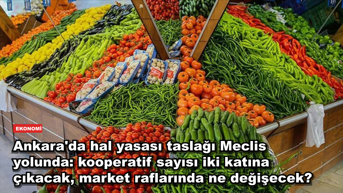 Ankara'da hal yasası taslağı Meclis yolunda: kooperatif sayısı iki katına çıkacak, market raflarında ne değişecek?