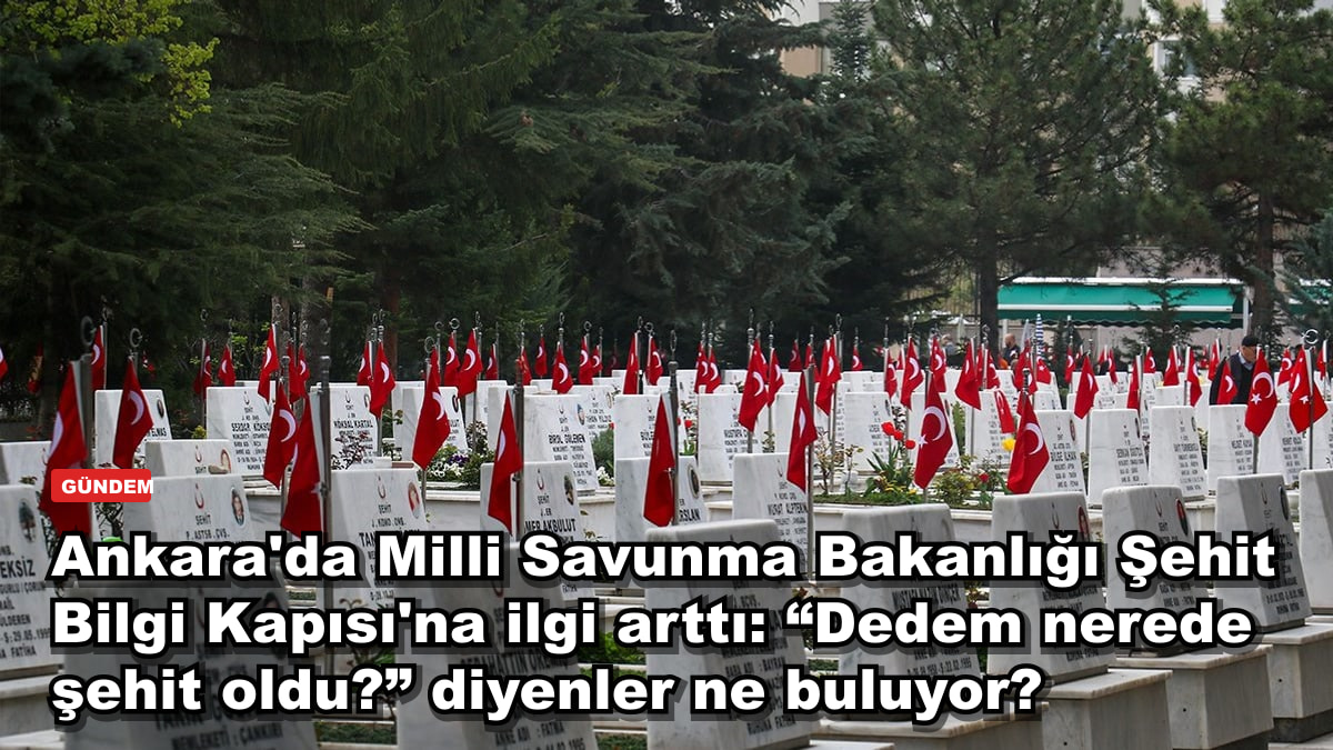 Ankara'da Milli Savunma Bakanlığı Şehit Bilgi Kapısı'na ilgi arttı: “Dedem nerede şehit oldu?” diyenler ne buluyor?