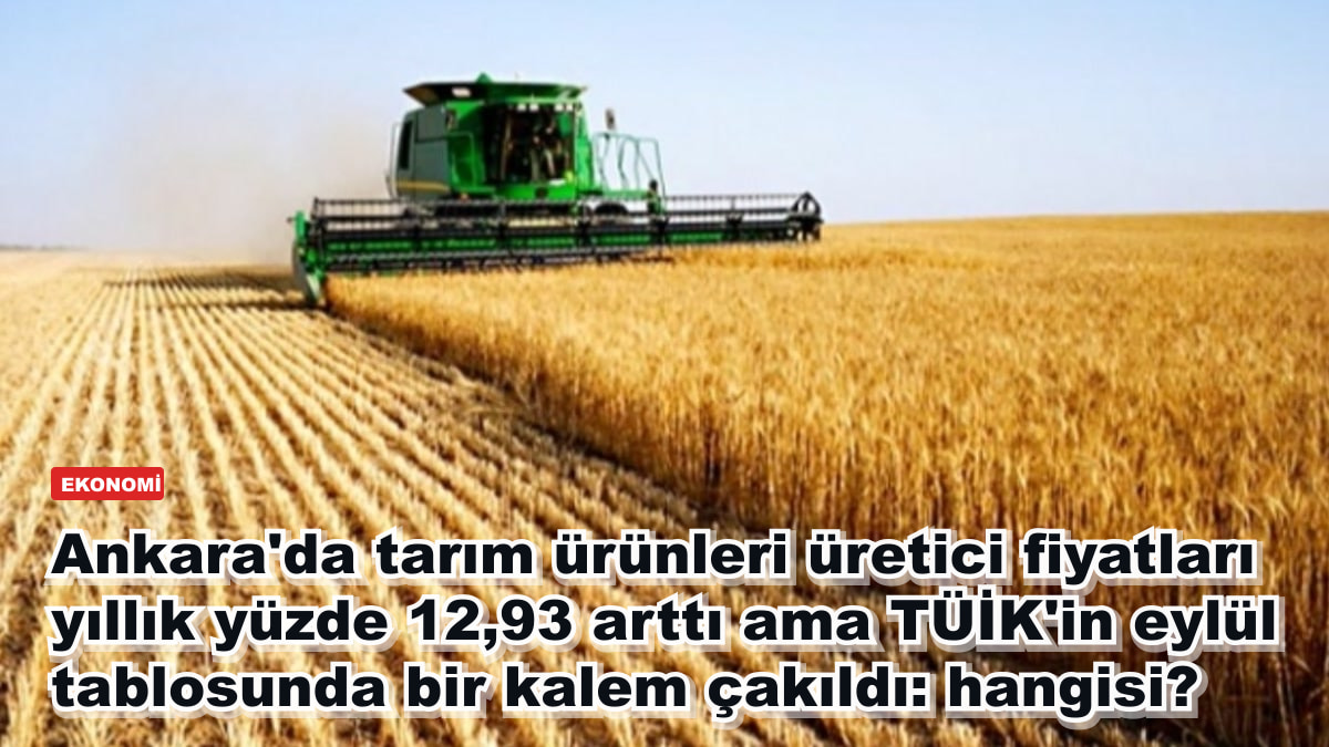 Ankara'da tarım ürünleri üretici fiyatları yıllık yüzde 12,93 arttı ama TÜİK'in eylül tablosunda bir kalem çakıldı: hangisi?
