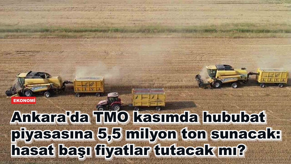 Ankara'da TMO kasımda hububat piyasasına 5,5 milyon ton sunacak: hasat başı fiyatlar tutacak mı?