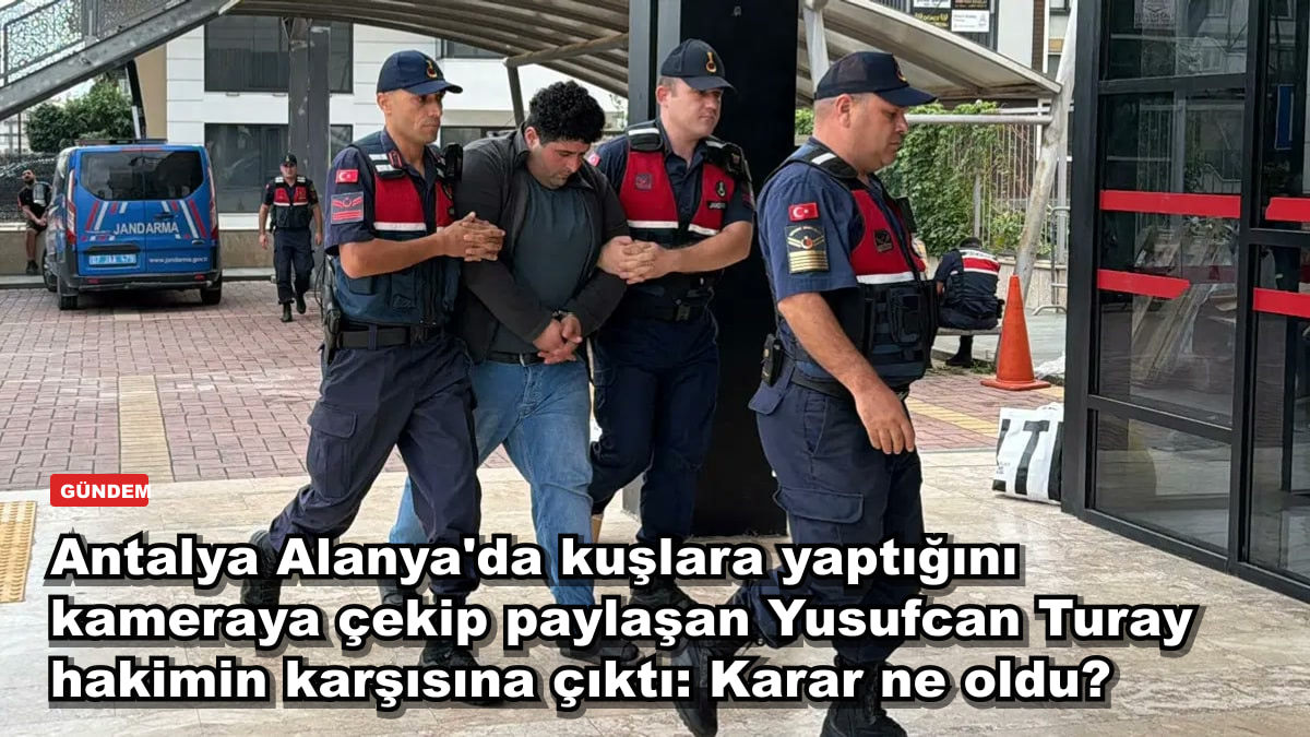 Antalya Alanya'da kuşlara yaptığını kameraya çekip paylaşan Yusufcan Turay hakimin karşısına çıktı: Karar ne oldu?
