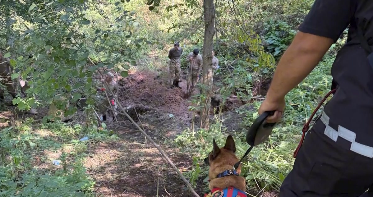 1800x950: Yer gösterme/kazı alanı; jandarma personeli ormanlık yamaçta, önde arama köpeği ve tasmayı tutan JASAT görevlisi. Gövde için uygun.