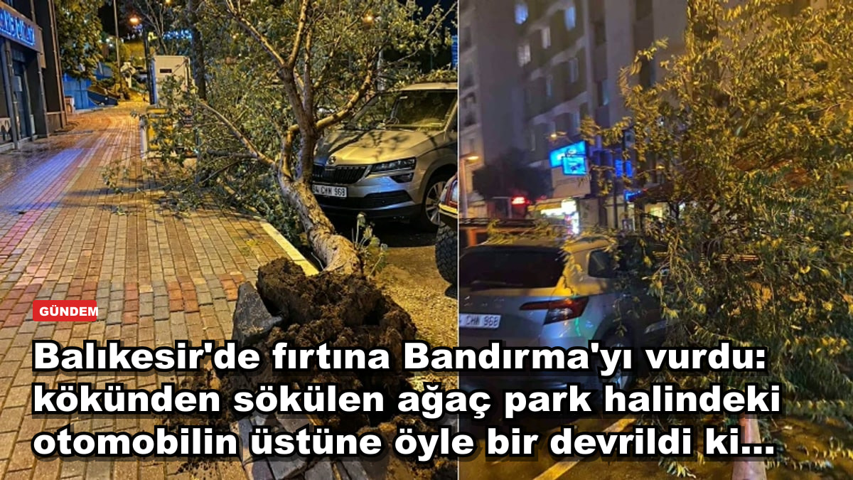 Balıkesir'de fırtına Bandırma'yı vurdu: kökünden sökülen ağaç park halindeki otomobilin üstüne öyle bir devrildi ki...