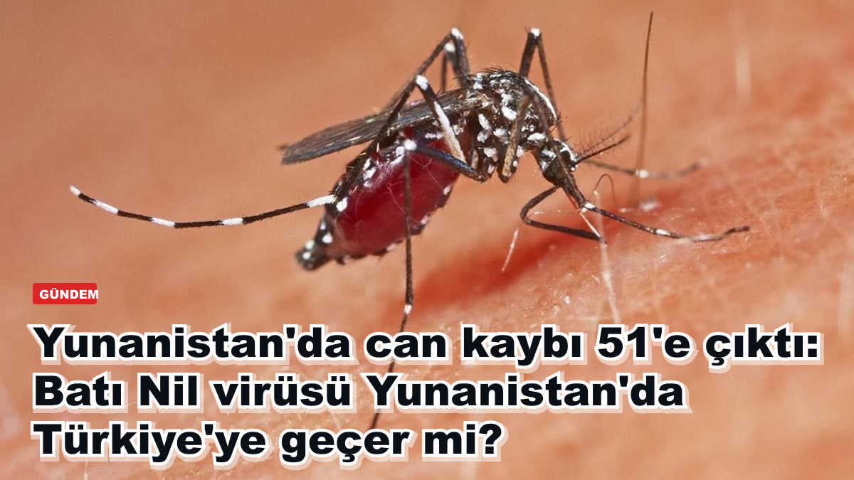 Yunanistan'da Batı Nil virüsü 51 kişinin ölümüne yol açtı: Virüs Türkiye'ye geçer mi?