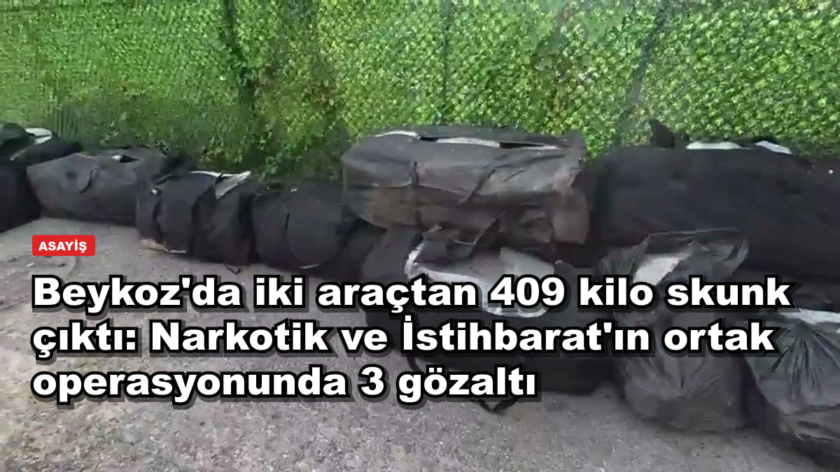 Beykoz'da iki araçtan 409 kilo skunk çıktı: Narkotik ve İstihbarat'ın ortak operasyonunda 3 gözaltı