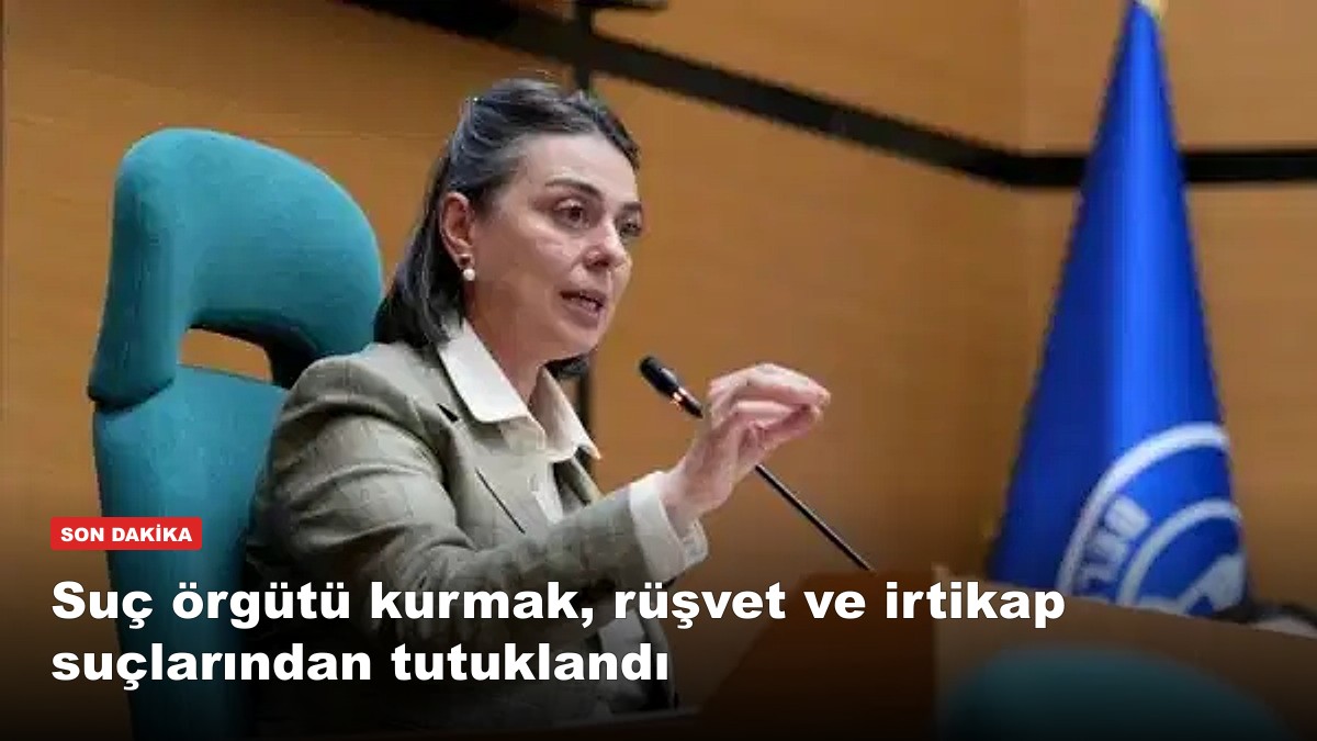 Üsküdar'da ruhsat rüşveti: Başkan Sinem Dedetaş tutuklandı