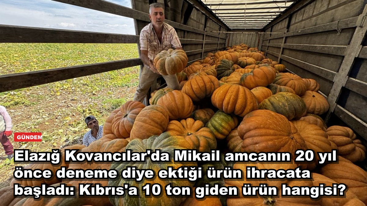 Elazığ Kovancılar'da Mikail amcanın 20 yıl önce deneme diye ektiği ürün ihracata başladı: Kıbrıs'a 10 ton giden ürün hangisi?