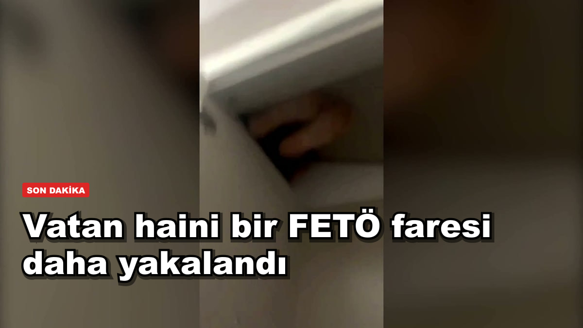 Vatan haini bir FETÖ faresi daha yakalandı