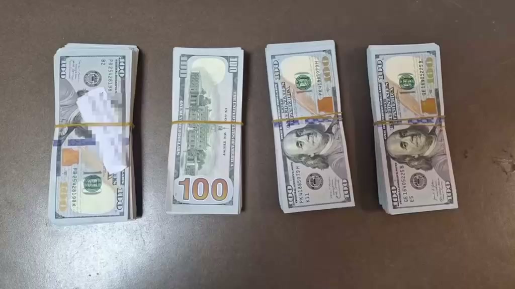 Operasyonda ele geçirilen dolar desteleri