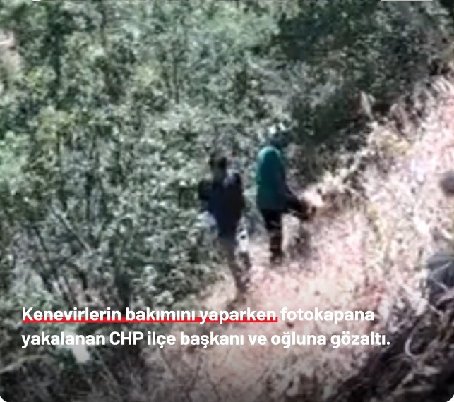 Fotokapan yakaladı: CHP Çüngüş İlçe Başkanı ve oğlu kenevir bakımında suçüstü