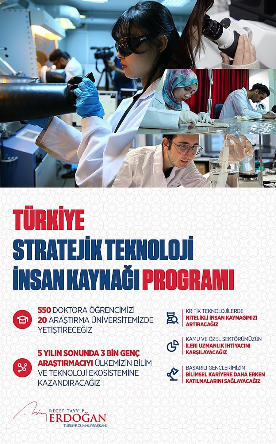 Türkiye Stratejik Teknoloji İnsan Kaynağı Programı infografiği