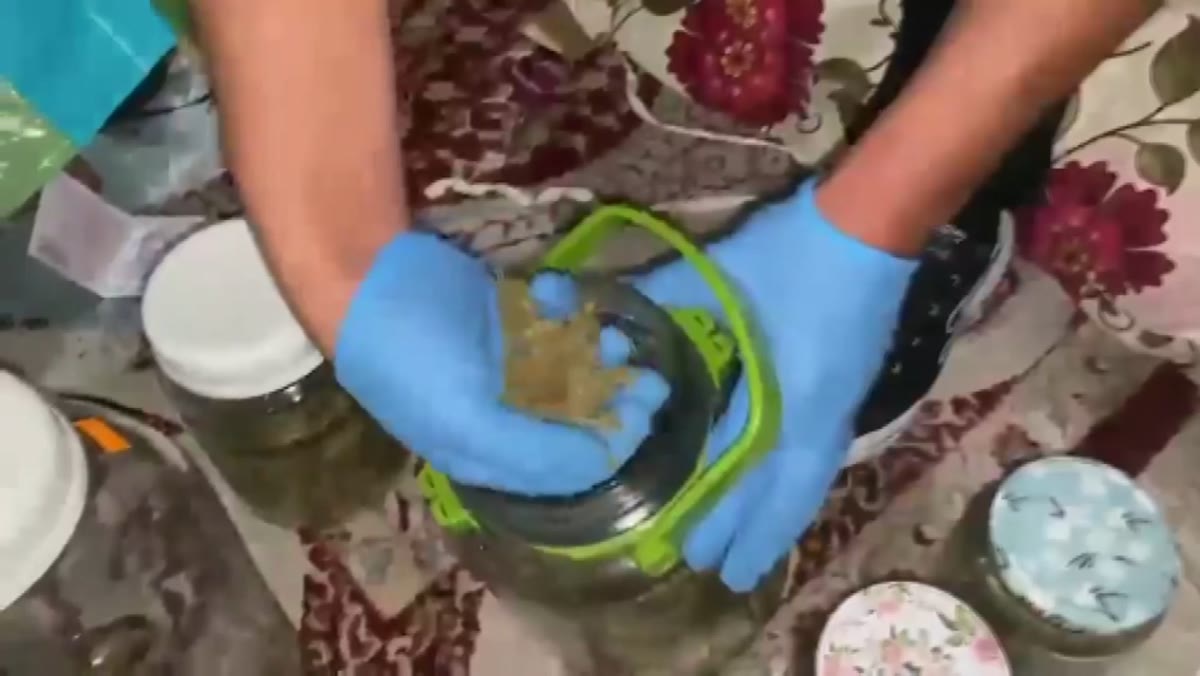Ele geçirilen uyuşturucu maddeler ve suç unsurları