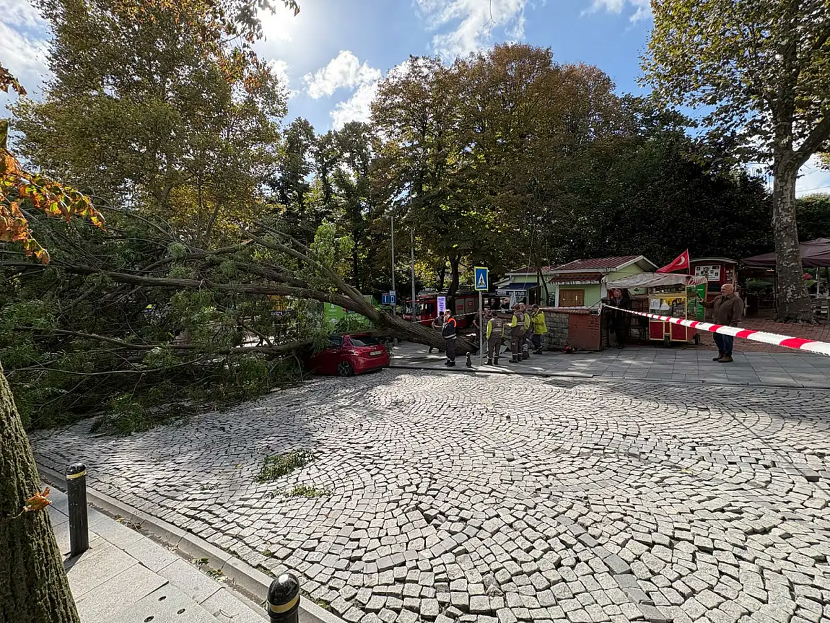 İstanbul Şişli'de otomobilin üzerine ağaç devrildi, Harbiye'de cadde trafiğe kapandı: fırtına gibi esen rüzgâr