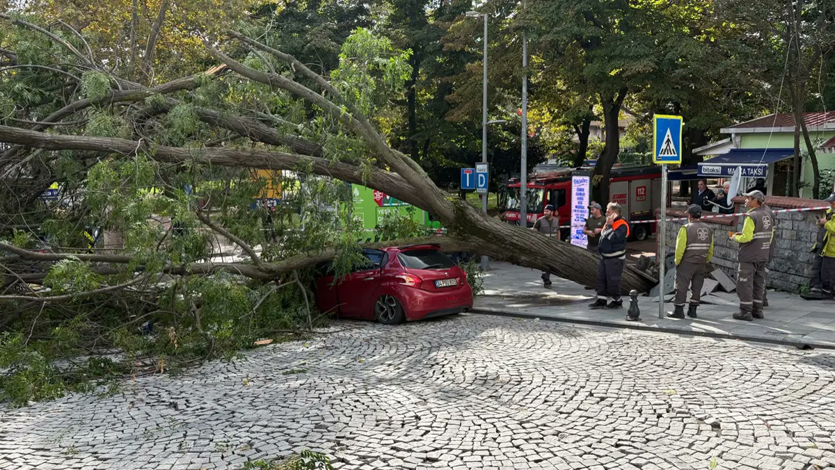İstanbul Şişli'de otomobilin üzerine ağaç devrildi, Harbiye'de cadde trafiğe kapandı: fırtına gibi esen rüzgâr