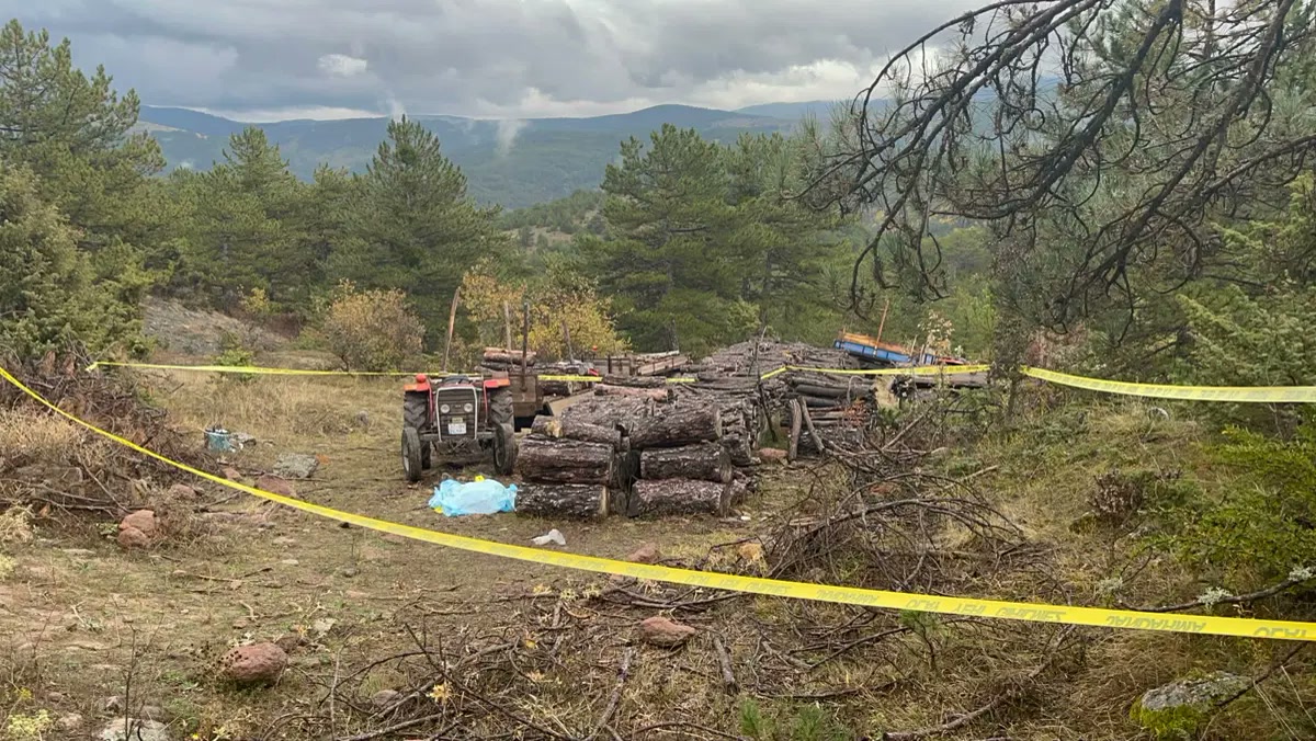 Kastamonu Tosya'da köy imamı cinayeti: odun toplamaya çıkan iki kişiden biri yerde kaldı, ormana kaçan öbürü e