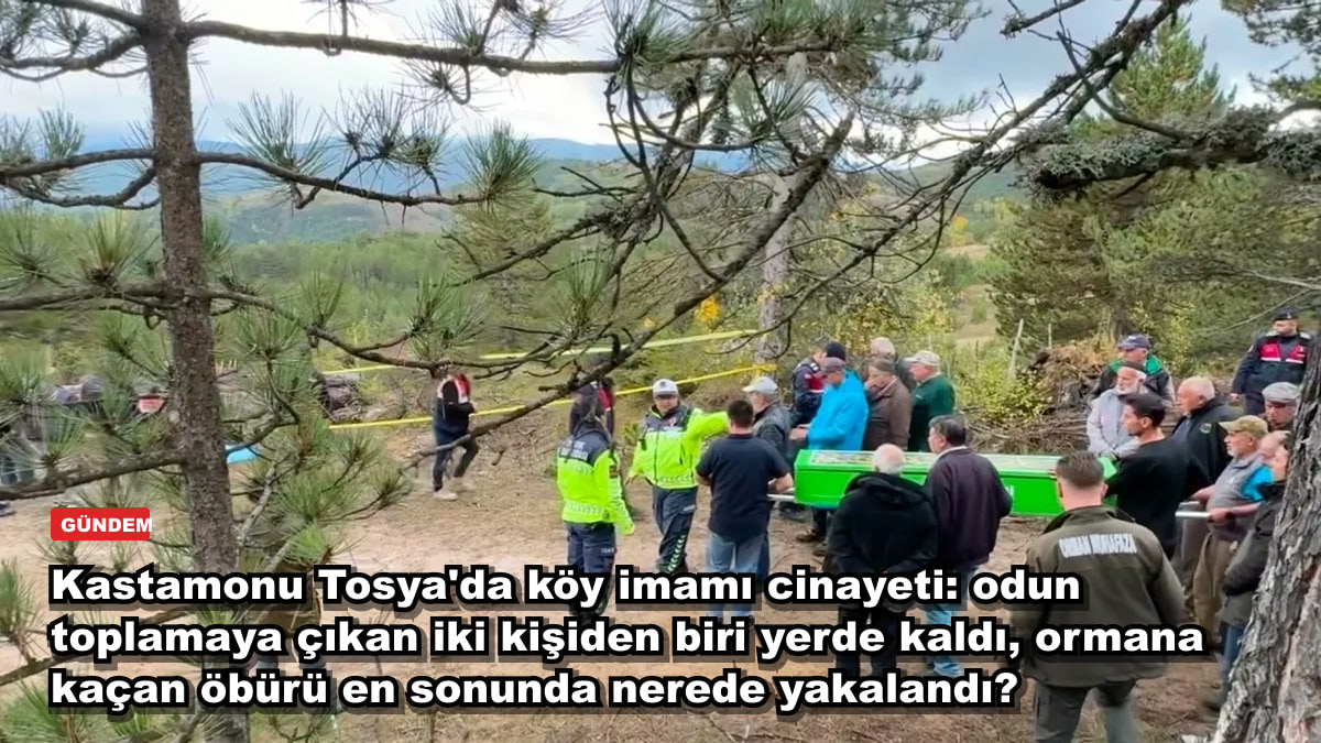 Kastamonu Tosya'da köy imamı cinayeti: odun toplamaya çıkan iki kişiden biri yerde kaldı, ormana kaçan öbürü en sonunda nerede yakalandı?