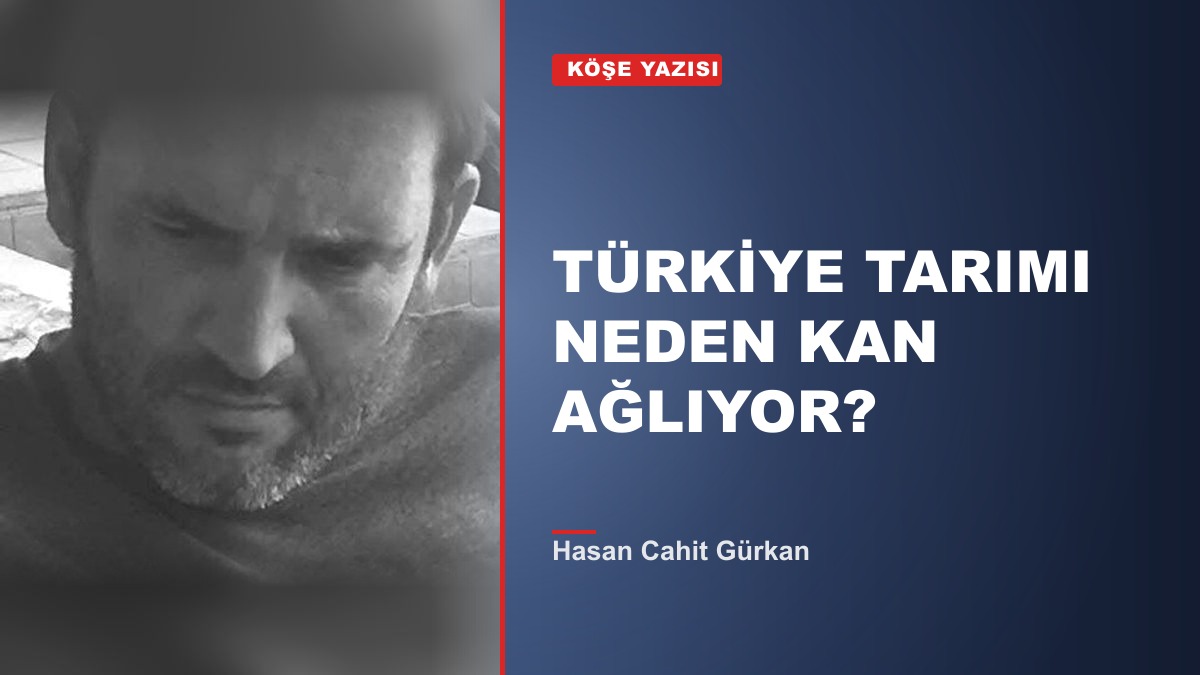 TÜRKİYE TARIMI NEDEN KAN AĞLIYOR?