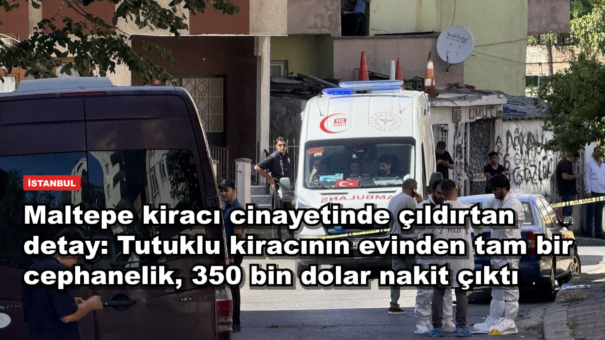 Maltepe kiracı cinayetinde çıldırtan detay: Tutuklu kiracının evinden tam bir cephanelik, 350 bin dolar nakit çıktı