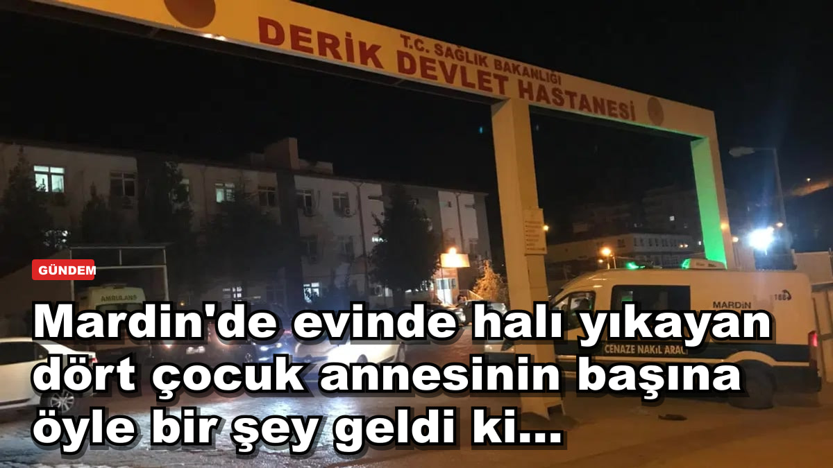 Mardin'de evinde halı yıkayan dört çocuk annesinin başına öyle bir şey geldi ki...