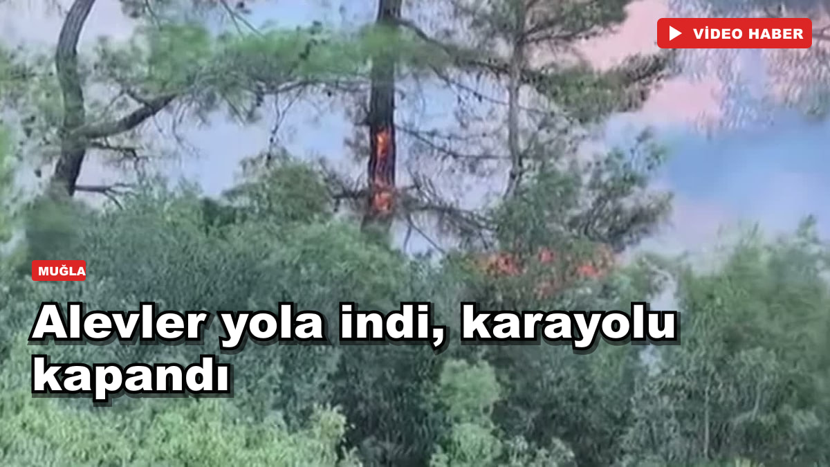 Alevler yola indi: Menteşe yanıyor, Muğla-Denizli karayolu kapandı
