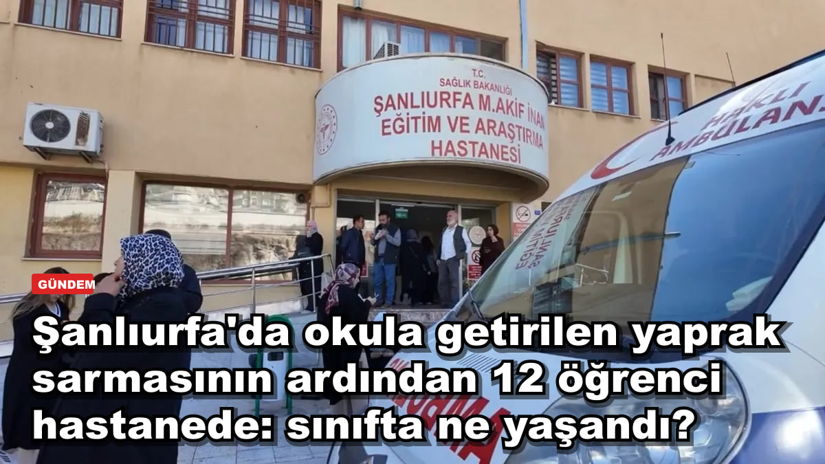 Şanlıurfa'da okula getirilen yaprak sarmasının ardından 12 öğrenci hastanede: sınıfta ne yaşandı?