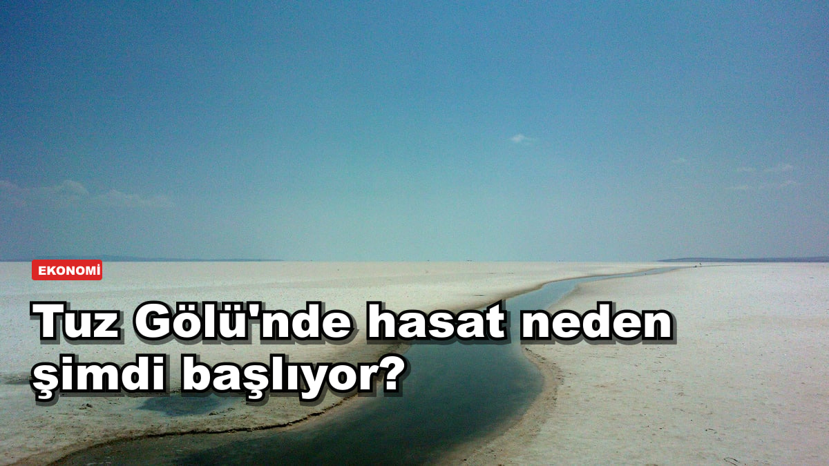 Türkiye'nin tuzu bu çorak tarladan çıkıyor: hasat başladı