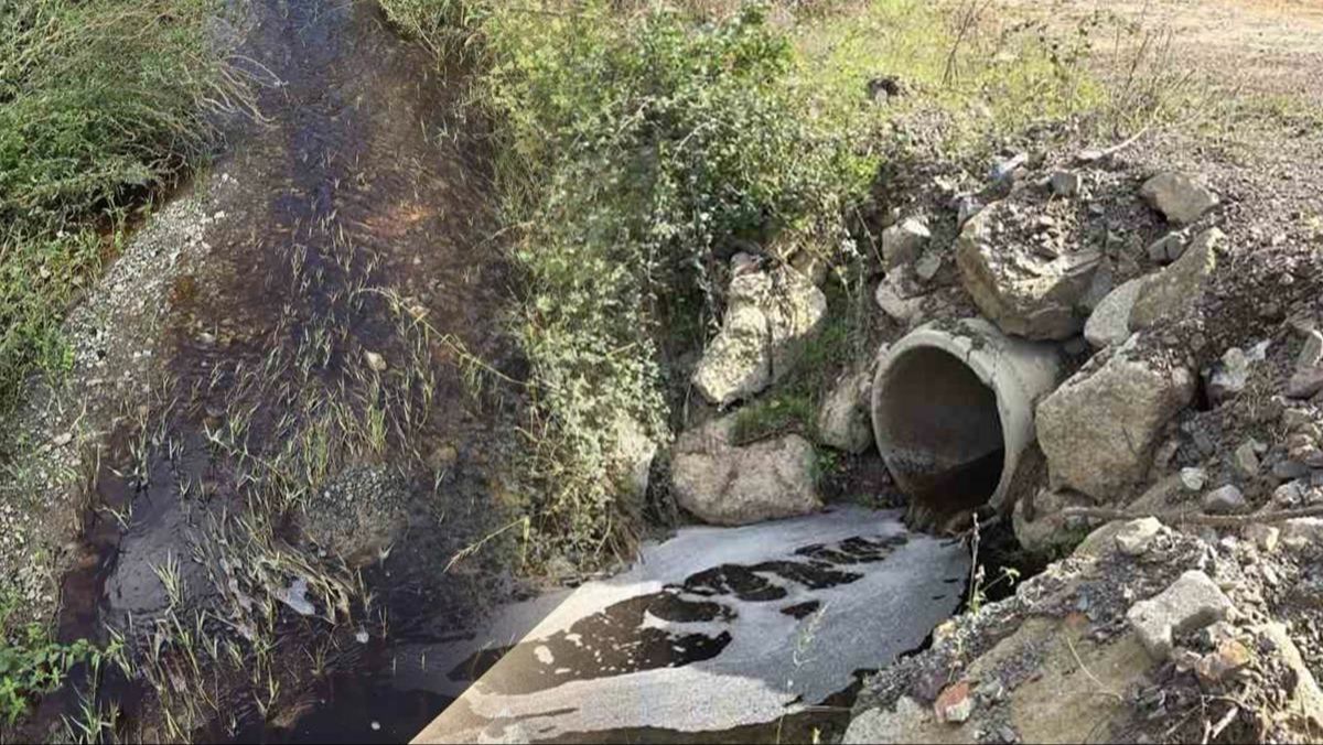 Yalova'da arıtılmayan atık su Marmara Denizi'ne aktı: 5 milyon liralık ceza hangi tesisin başına patladı?