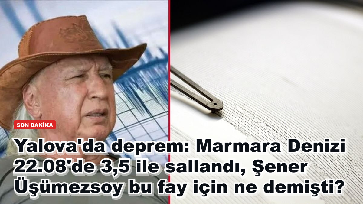Yalova'da deprem: Marmara Denizi 22.08'de 3,5 ile sallandı, Şener Üşümezsoy bu fay için ne demişti?